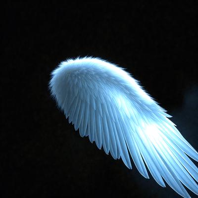Primary subject: A white angel wing.

Setting/background: A dark background.

Visual style: Digital art.

Colors and mood: The white angel wing has a glowing, ethereal appearance, creating a sense of serenity and spirituality.